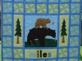 Bears