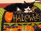 Spooky Quilt