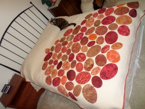 eggOnBed