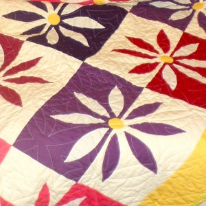 Flowers-closeup